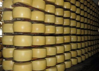 Opportunità di lavoro: magazziniere