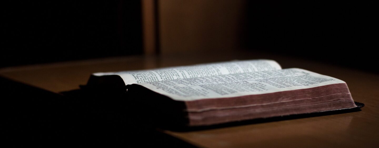 Starter Pack: poesie per piccole anime fragili