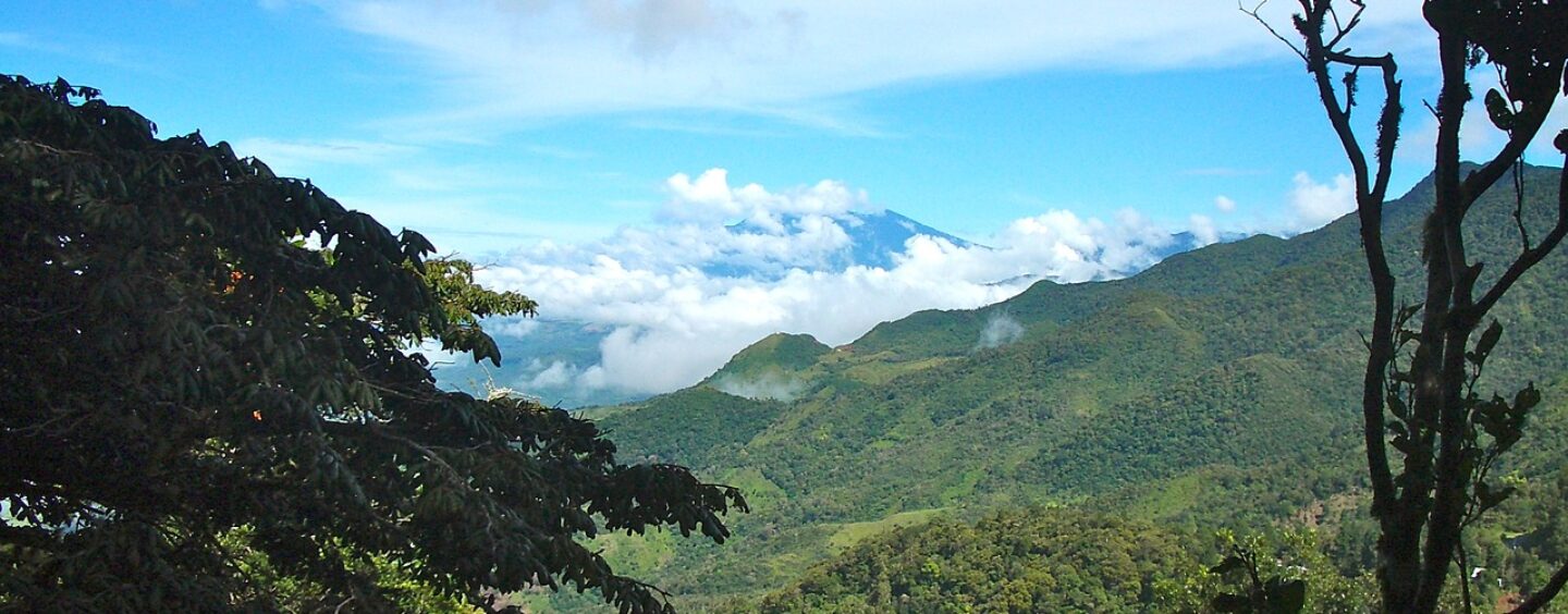 Eco journey attraverso l’Istria