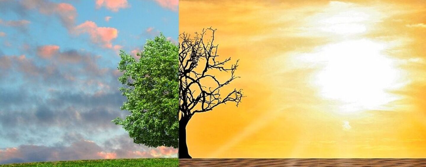 Scambio giovanile in Francia su sostenibilità e clima