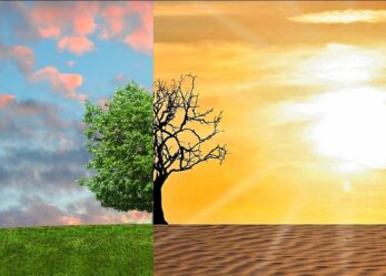 Scambio giovanile in Francia su sostenibilità e clima