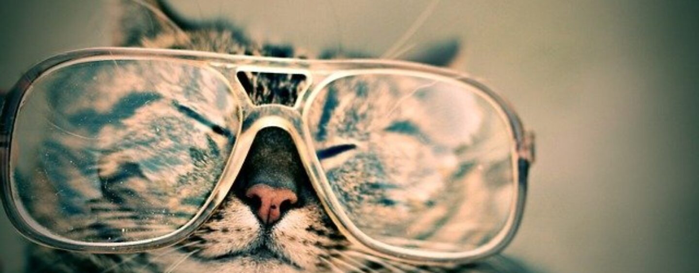 Opportunità di lavoro: impiegata/o amministrativa/o