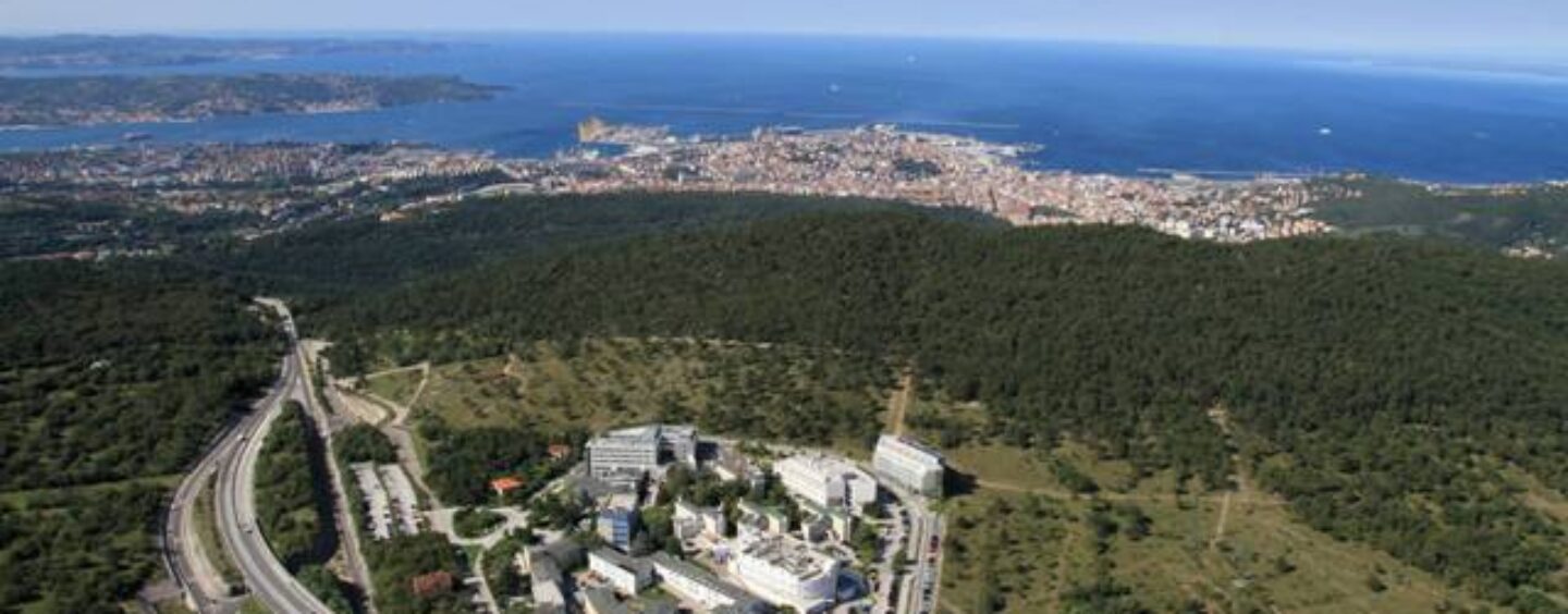 Premi di laurea e dottorato per studi valorizzano l’uso dei brevetti come fonte di documentazione