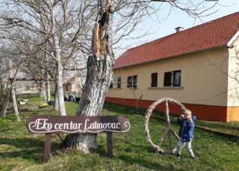 Richness in diversity: volontarie e volontari cercasi