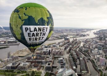 Greenpeace International internship