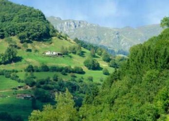 Scambi tra micro e piccole imprese del GAL: arrivano gli incentivi