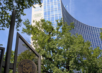 Tirocini a Ginevra per la proprietà intellettuale