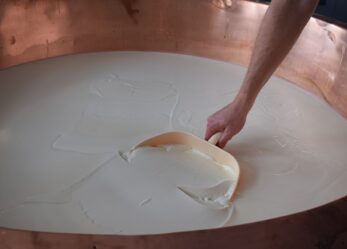 Corso gratuito per addetto alla trasformazione del latte