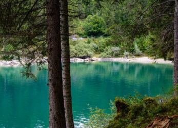 Cercasi cuoca/o in Svizzera