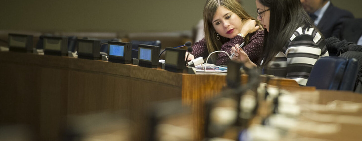 Tirocini UN/DESA per laureate e laureati