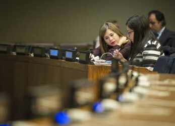 Tirocini UN/DESA per laureate e laureati