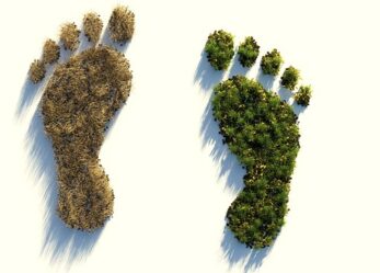 Premio per tesi di laurea e dottorato su enti locali e sostenibilità