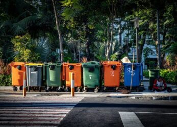 Opportunità di lavoro: coordinatore di settore in ambito servizi