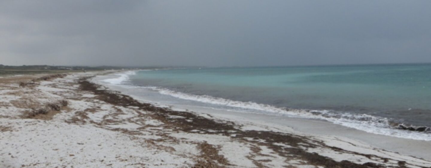 Sei un artista della natura? Be natural, be wild!