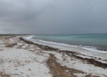 Sei un artista della natura? Be natural, be wild!