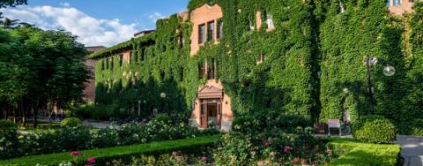 Studiare giornalismo in Cina