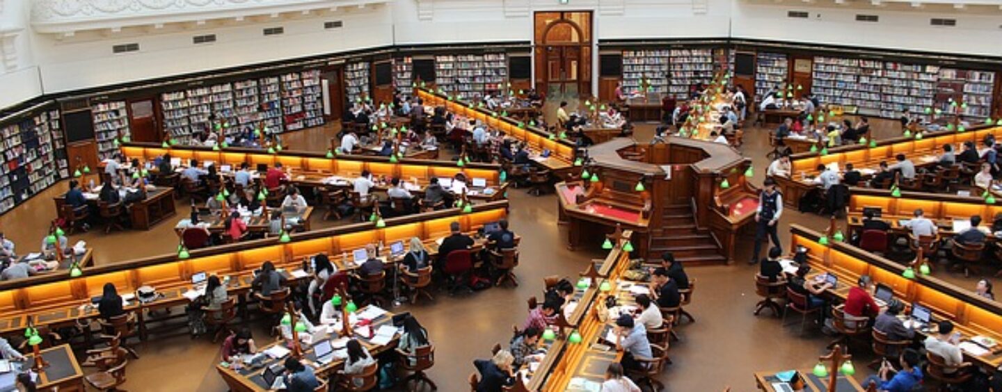 Borsa di studio per la tua laurea magistrale in economia