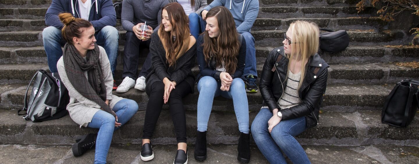 Studiare islandese in Islanda (e online)