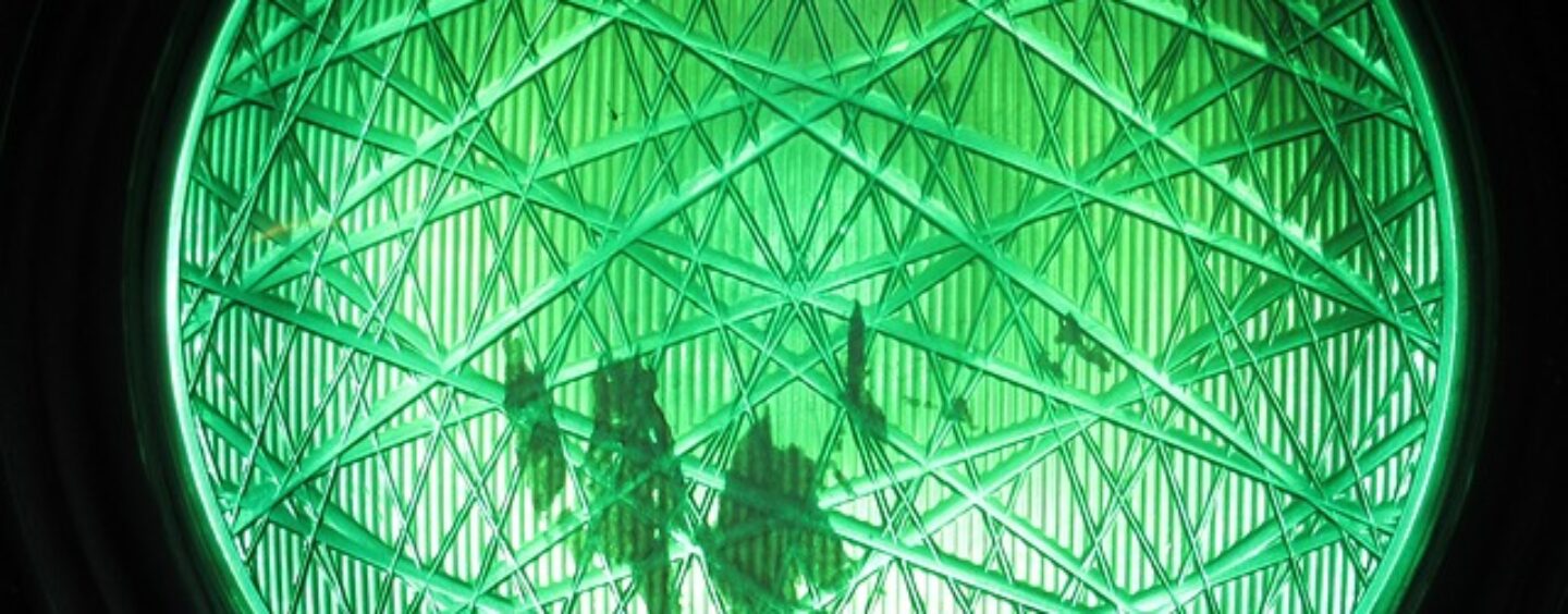 Corso gratuito per addetto alla segreteria, privacy, controllo green pass e accessi