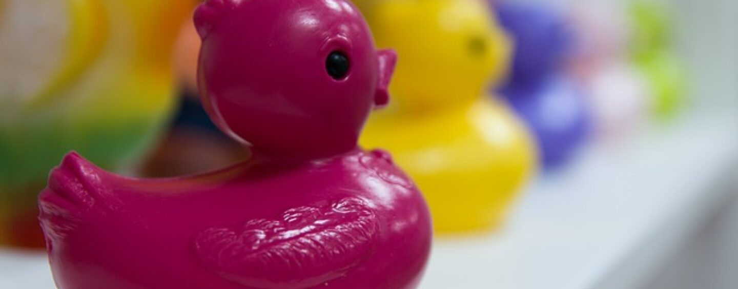 Opportunità di lavoro: addetto/a vendite nella GDO