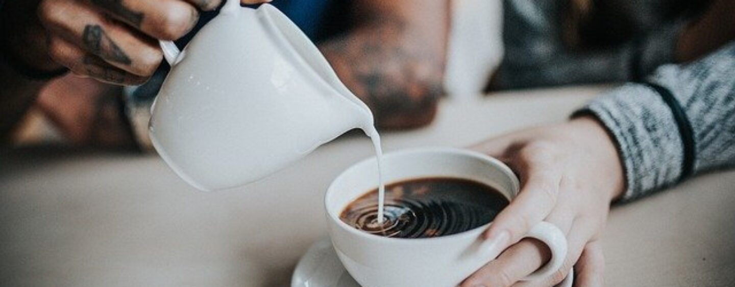 Job talent: servizi per studenti, imprese, lavoratori