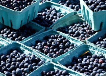 Corso gratuito online per operatore al confezionamento alimentare