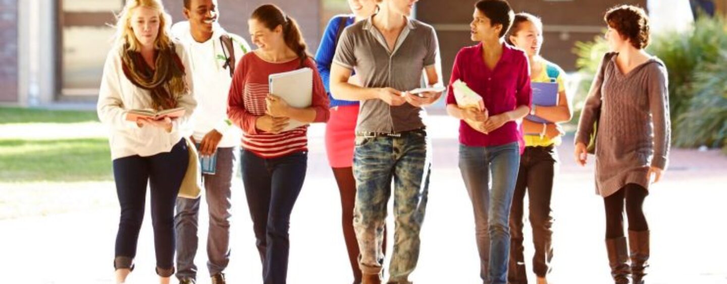 Tirocini da remoto per studenti universitari