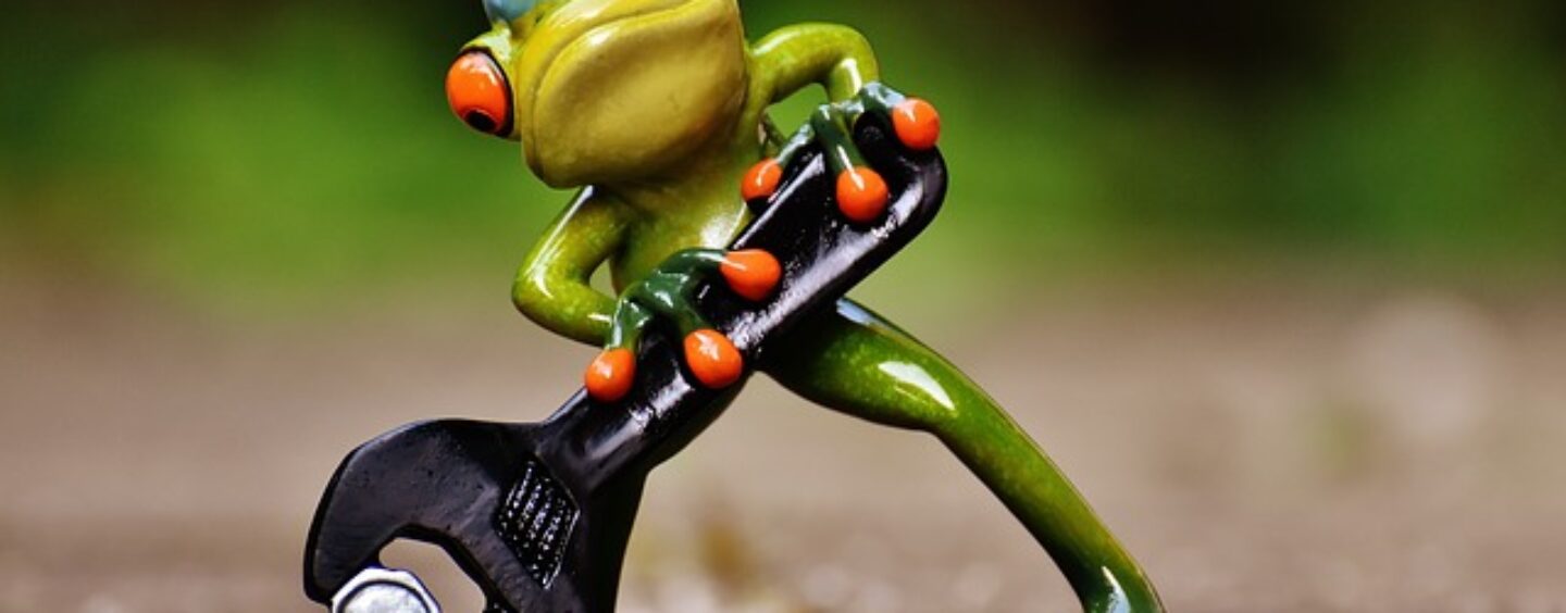 Opportunità di lavoro e di tirocinio nel settore brico