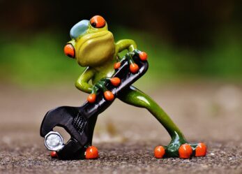 Opportunità di lavoro e di tirocinio nel settore brico