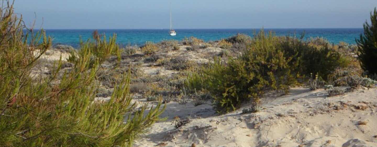 Numerose posizioni aperte per profili qualificati in azienda meccanica