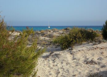 Numerose posizioni aperte per profili qualificati in azienda meccanica