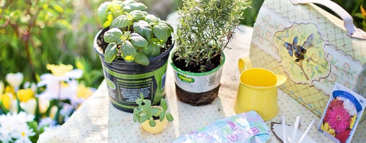 Opportunità di lavoro nella GDO bricolage