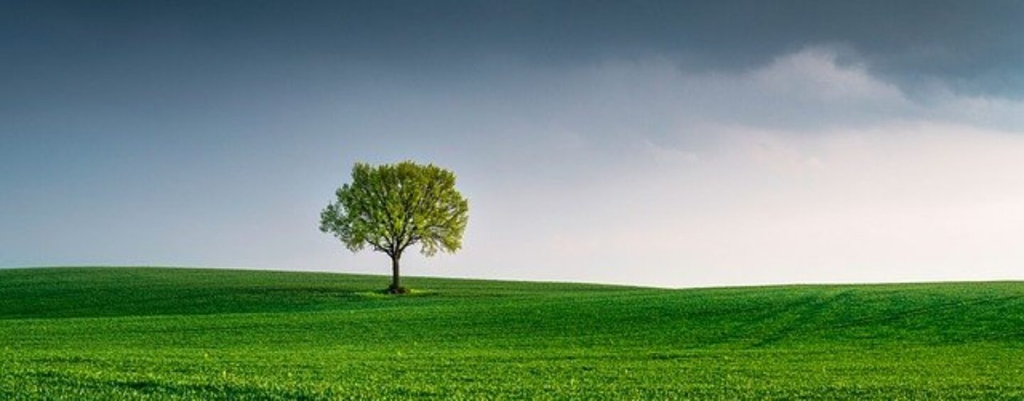 Idee sulla sostenibilità in un concorso per studenti