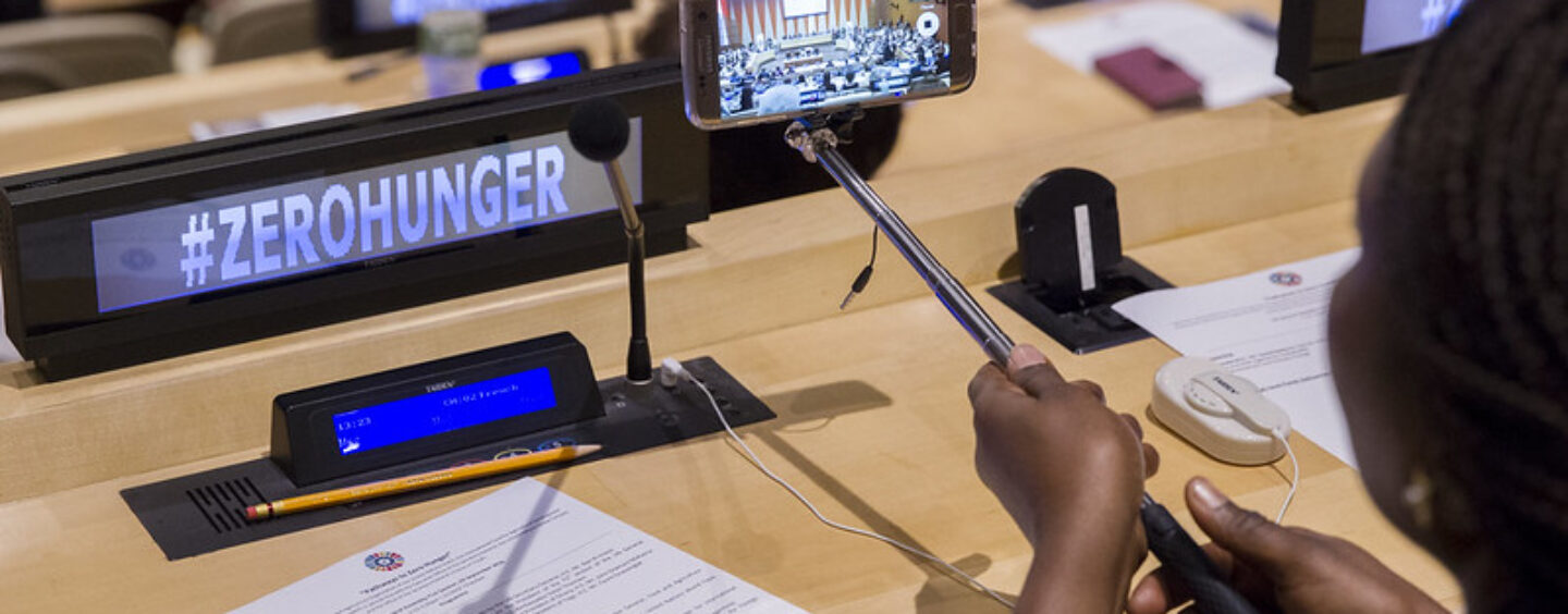 Tirocini per studenti e neolaureati