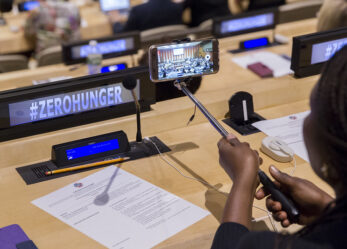 Tirocini per studenti e neolaureati