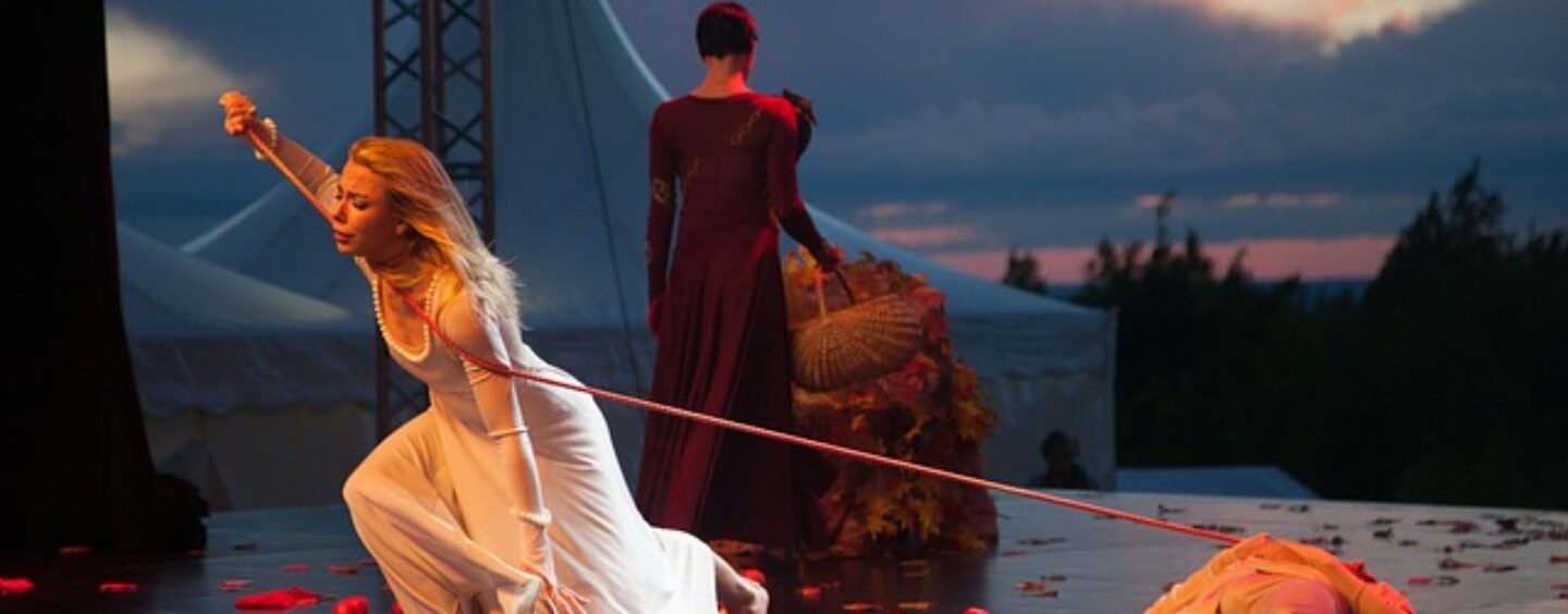 Corso gratuito per Organizzatore specializzato nelle politiche culturale nazionali e internazionali delle arti performative