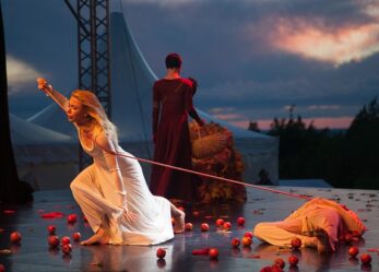 Corso gratuito per Organizzatore specializzato nelle politiche culturale nazionali e internazionali delle arti performative