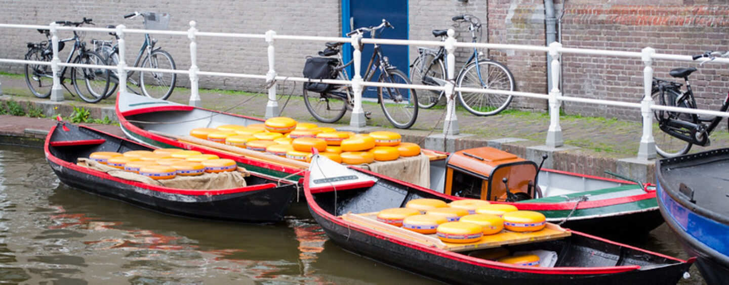 Amsterdam, Utrecht, L’Aia: idee per fare volontariato, un tirocinio o un lavoro stagionale nei Paesi Bassi