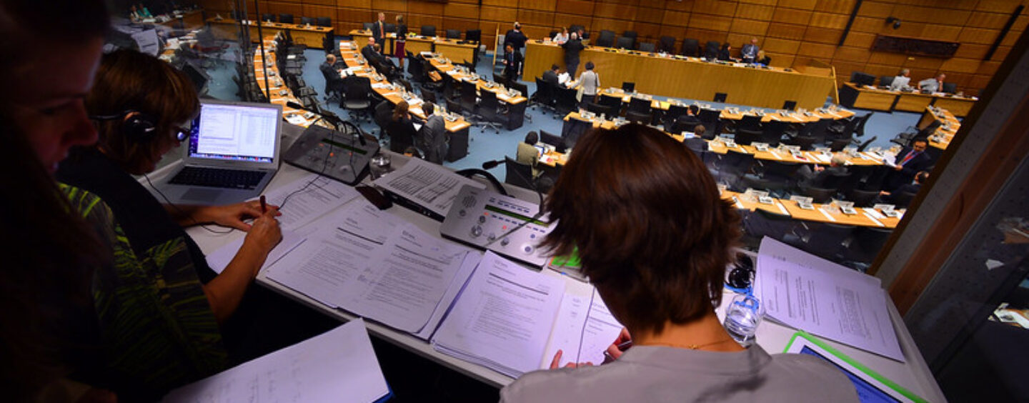 Borse di studio per interpreti