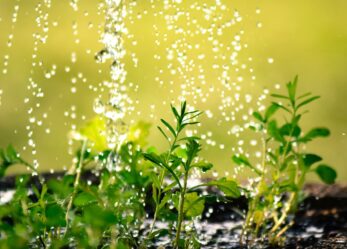 Che ne dici di una vacanza all’estero low cost?