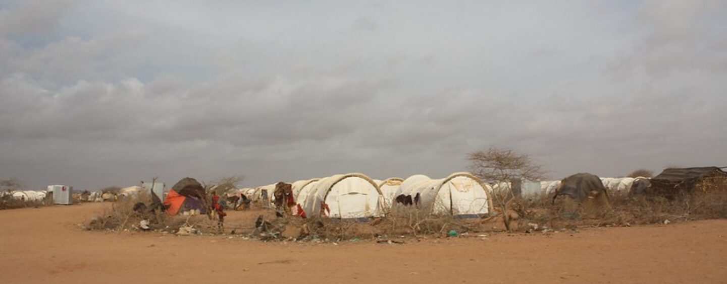 Tirocinio all’l’Agenzia delle Nazioni unite per i rifugiati