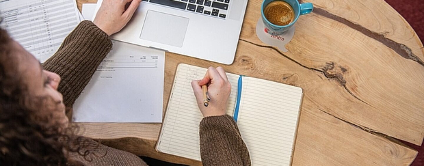 Software tester in Austria