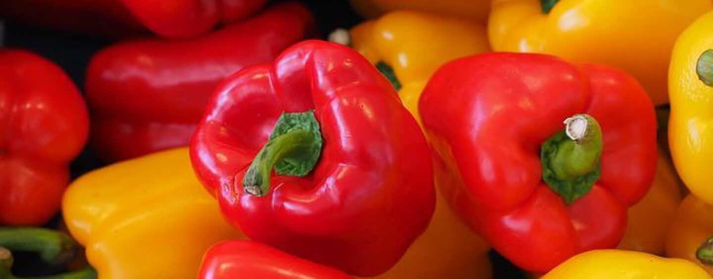 Addetti vendita in supermercati in provincia