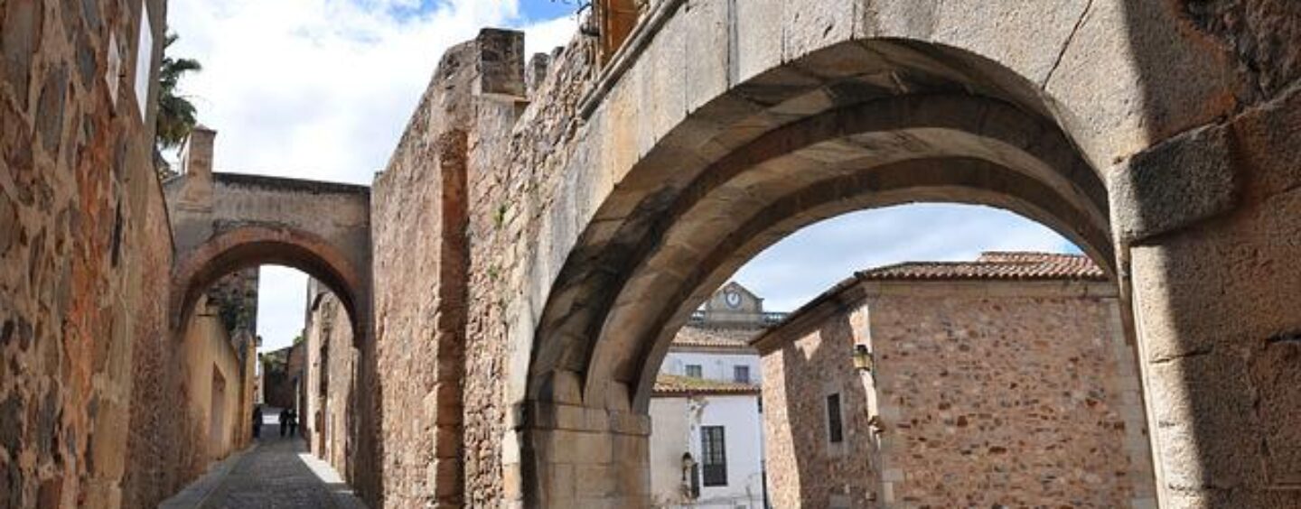 Spagnolo base: corso gratuito a distanza