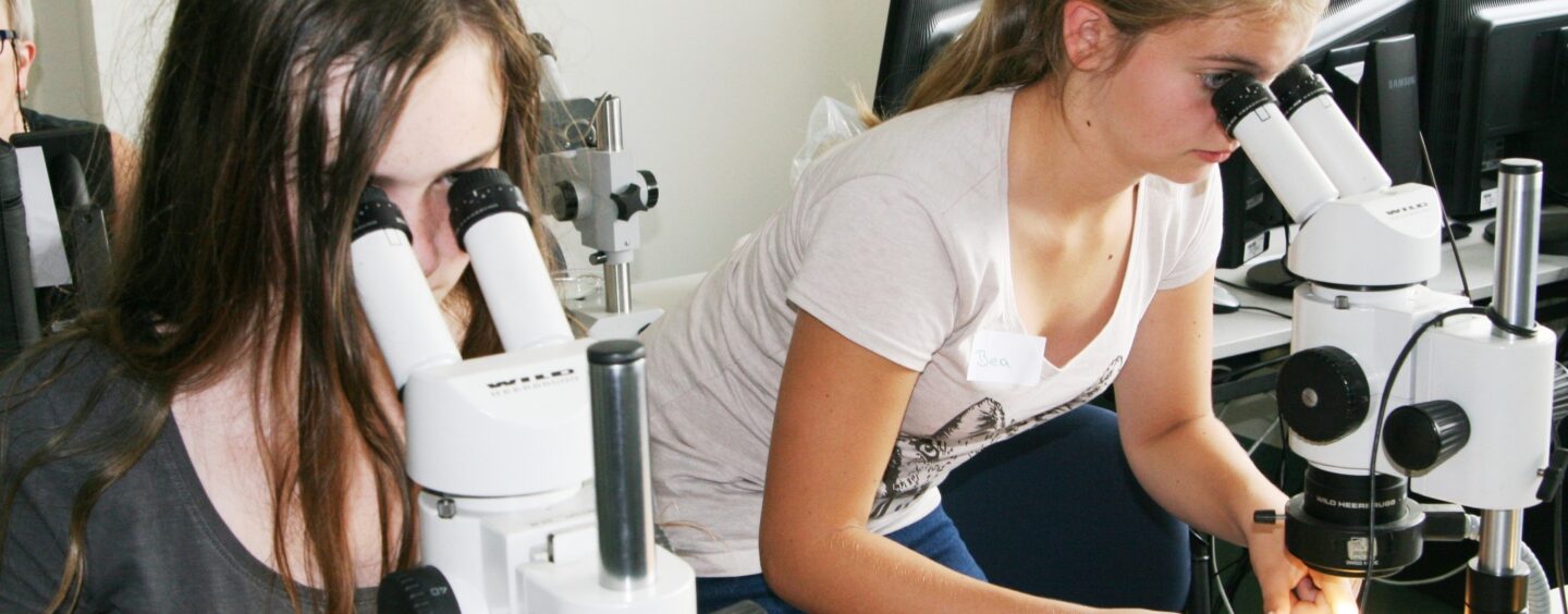 Tirocinio a Vienna per la sicurezza alimentare