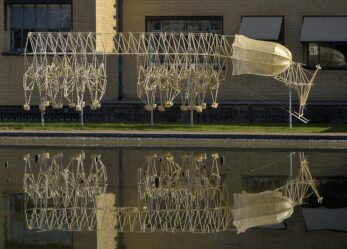 Nei Paesi Bassi per sviluppare competenze per la transizione ecologia