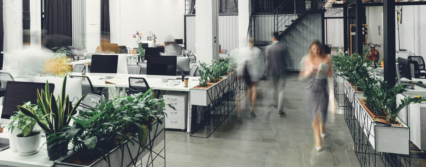 Assunzioni di giovani talenti digitali