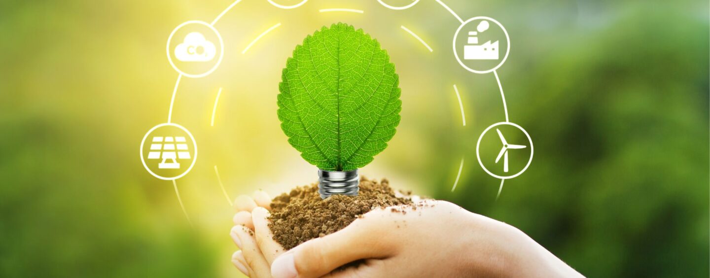 Servizio Civile Ambientale e Digitale con Associazione Mosaico