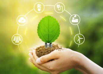 Servizio Civile Ambientale e Digitale con Associazione Mosaico