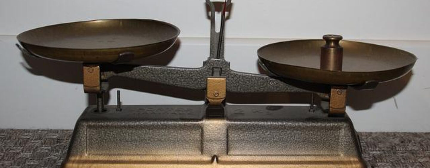 Agenda 2030, Obiettivo 10: ridurre le disuguaglianze